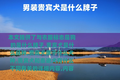 男装贵宾犬是什么牌子