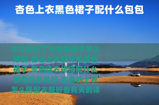 杏色上衣黑色裙子配什么包包