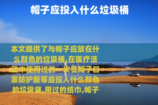 帽子应投入什么垃圾桶