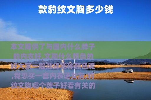 款豹纹文胸多少钱