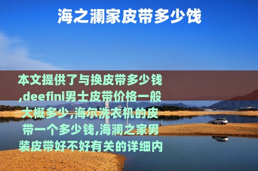 海之澜家皮带多少饯