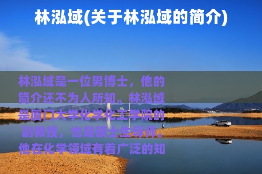 林泓域(关于林泓域的简介)