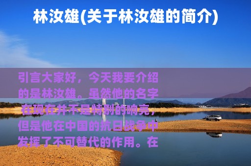 林汝雄(关于林汝雄的简介)