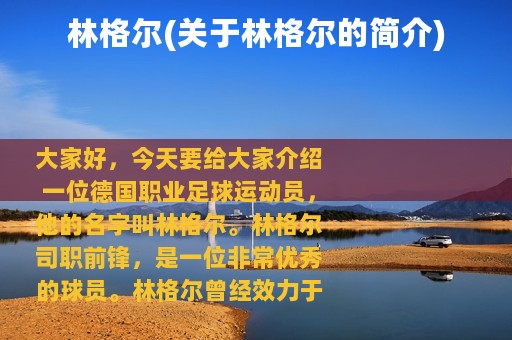 林格尔(关于林格尔的简介)