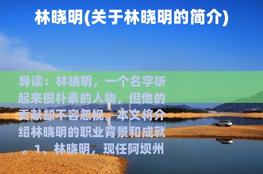 林晓明(关于林晓明的简介)