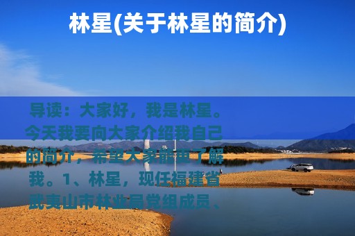 林星(关于林星的简介)