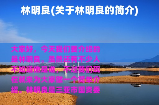 林明良(关于林明良的简介)