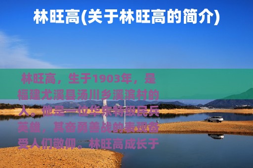 林旺高(关于林旺高的简介)