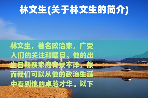林文生(关于林文生的简介)