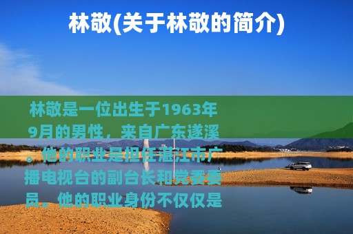 林敬(关于林敬的简介)