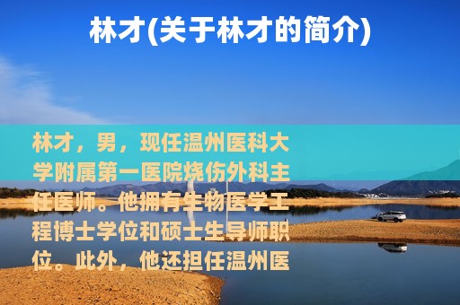 林才(关于林才的简介)