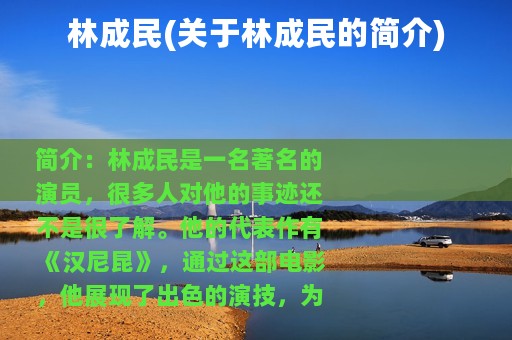 林成民(关于林成民的简介)