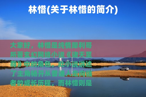 林惜(关于林惜的简介)