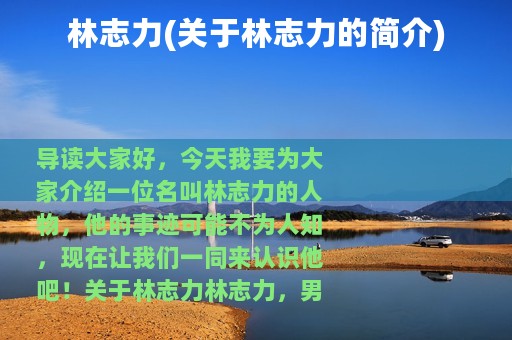 林志力(关于林志力的简介)
