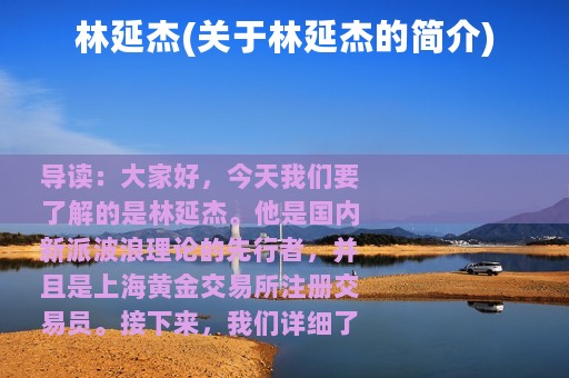 林延杰(关于林延杰的简介)