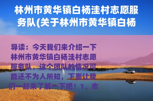 林州市黄华镇白杨洼村志愿服务队(关于林州市黄华镇白杨洼村志愿服务队的简介)