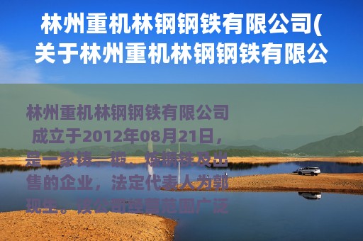 林州重机林钢钢铁有限公司(关于林州重机林钢钢铁有限公司的简介)