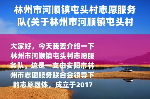林州市河顺镇屯头村志愿服务队(关于林州市河顺镇屯头村志愿服务队的简介)