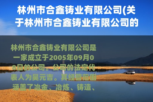 林州市合鑫铸业有限公司(关于林州市合鑫铸业有限公司的简介)