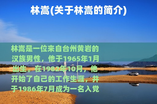 林嵩(关于林嵩的简介)