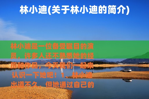 林小迪(关于林小迪的简介)