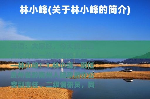林小峰(关于林小峰的简介)