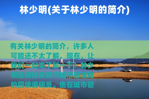 林少明(关于林少明的简介)