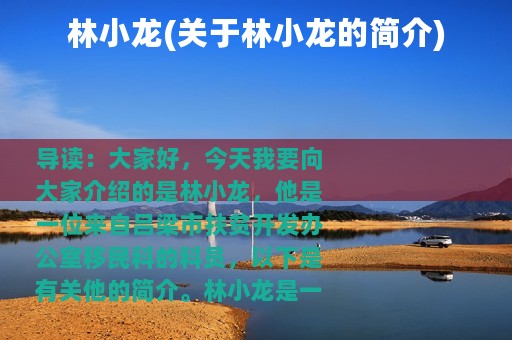 林小龙(关于林小龙的简介)