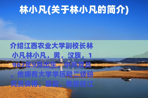 林小凡(关于林小凡的简介)