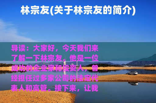 林宗友(关于林宗友的简介)