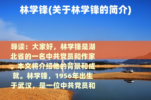 林学锋(关于林学锋的简介)