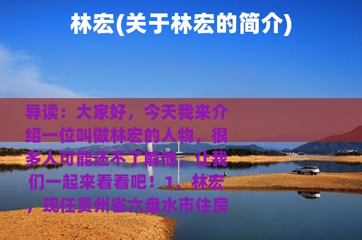 林宏(关于林宏的简介)