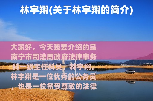 林宇翔(关于林宇翔的简介)