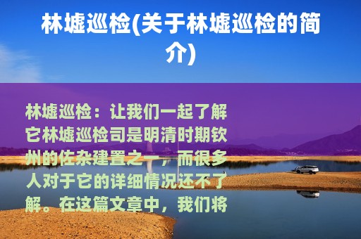 林墟巡检(关于林墟巡检的简介)