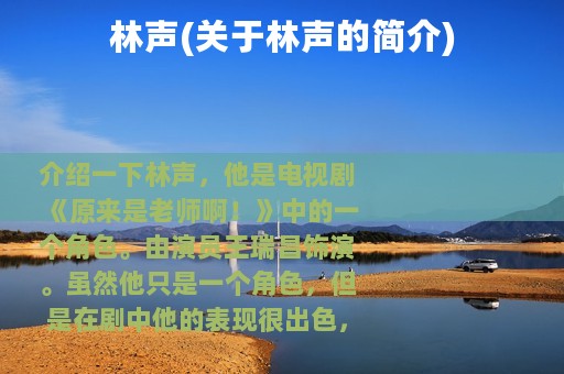 林声(关于林声的简介)