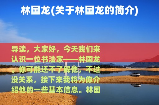 林国龙(关于林国龙的简介)