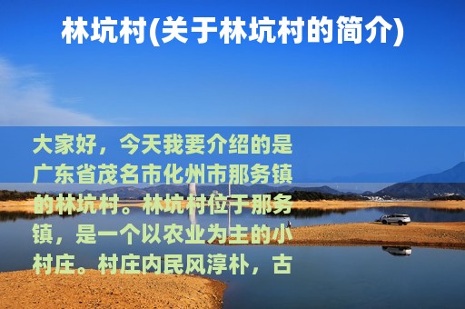 林坑村(关于林坑村的简介)