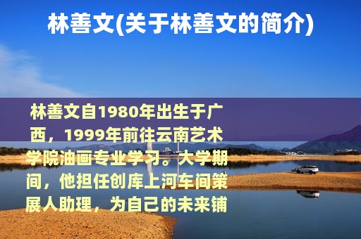 林善文(关于林善文的简介)