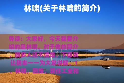 林啸(关于林啸的简介)