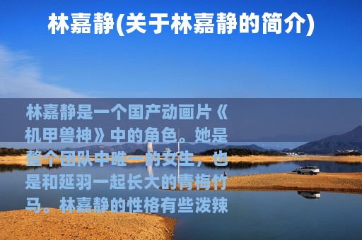 林嘉静(关于林嘉静的简介)