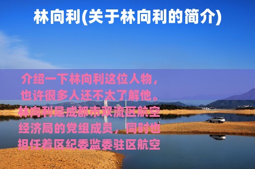 林向利(关于林向利的简介)