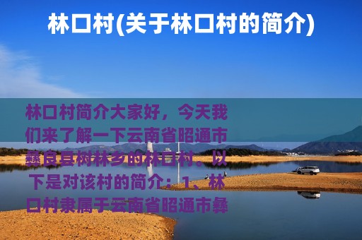 林口村(关于林口村的简介)
