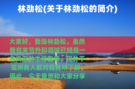 林劲松(关于林劲松的简介)