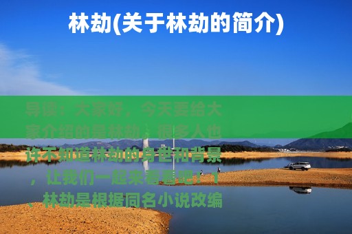 林劫(关于林劫的简介)