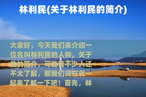 林利民(关于林利民的简介)