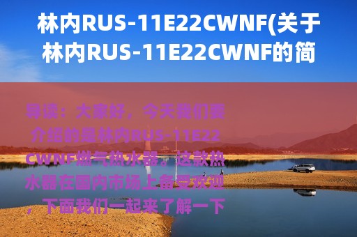 林内RUS-11E22CWNF(关于林内RUS-11E22CWNF的简介)