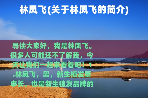 林凤飞(关于林凤飞的简介)