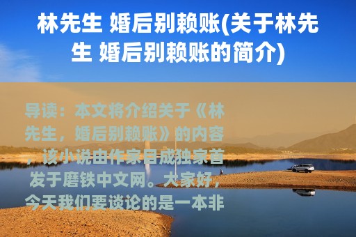 林先生 婚后别赖账(关于林先生 婚后别赖账的简介)