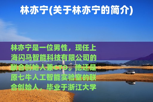 林亦宁(关于林亦宁的简介)