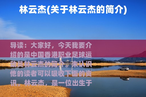 林云杰(关于林云杰的简介)